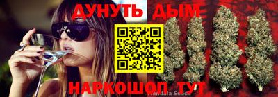 стафф Коммунар