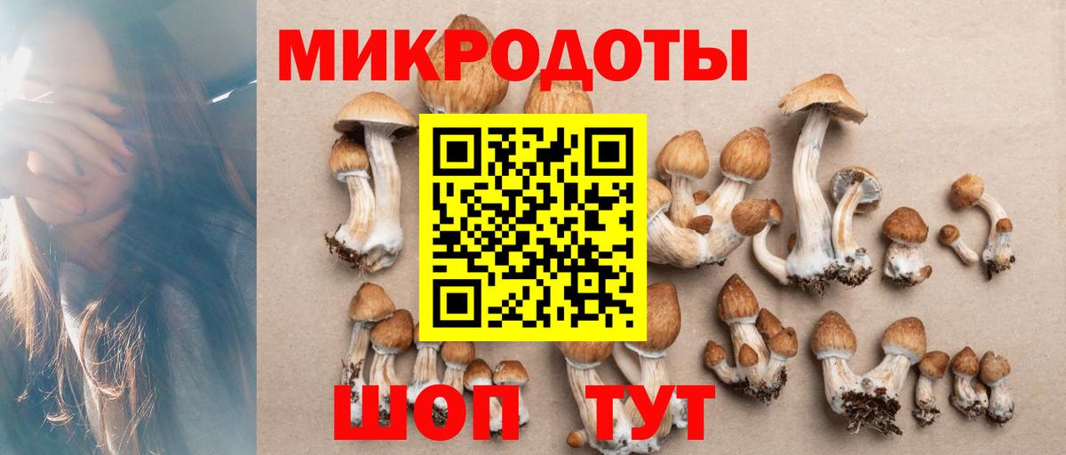 закладка  Галлюциногенные грибы прущие грибы  Вход с VPN  Псилоцибиновые грибы GOLDEN TEACHER  Армавир 